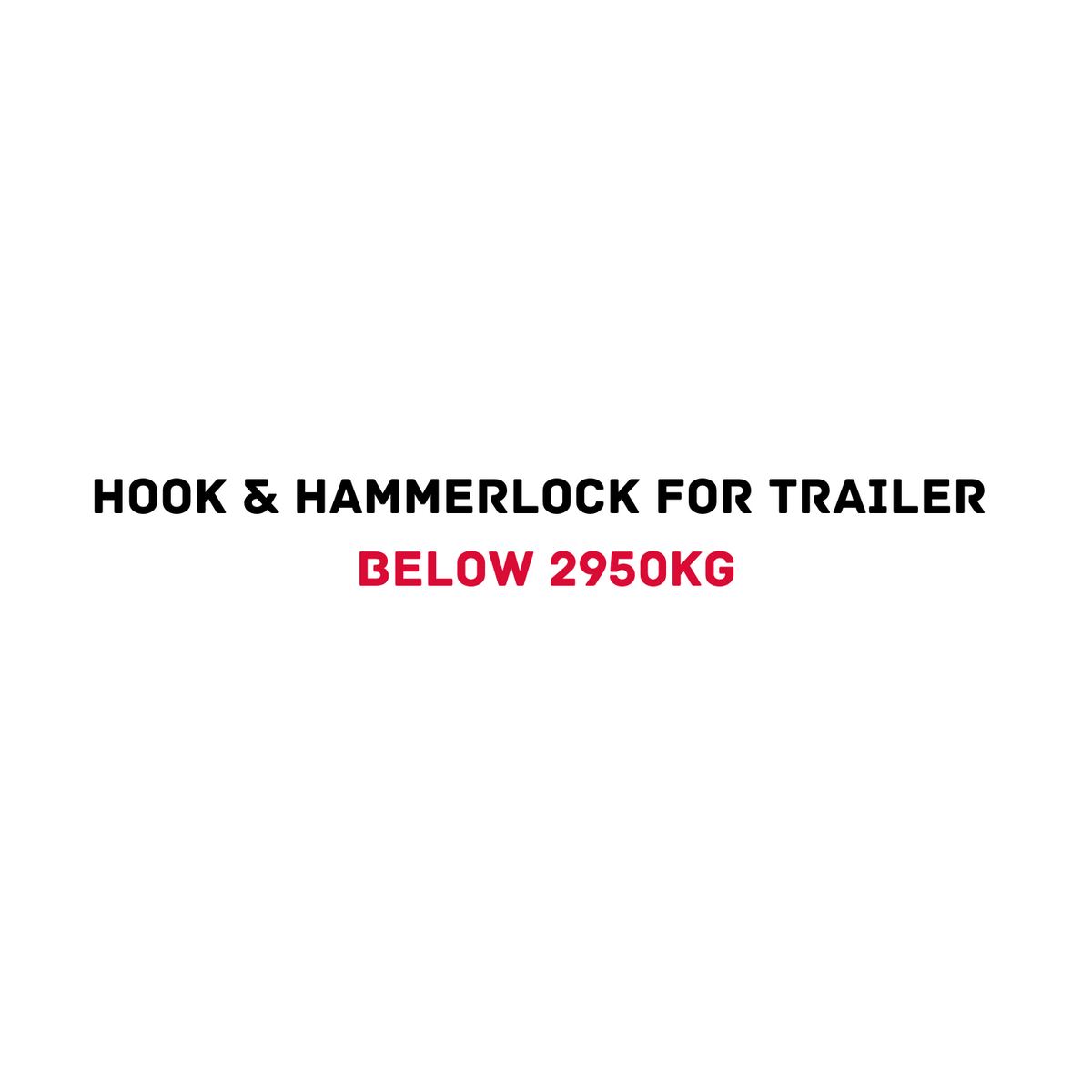 Hammerlock and Hook for Trailer below 2950kg 4WD Recovery Gear