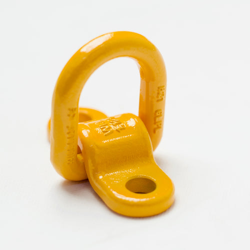 Double R Lifting Lug Lifting Lugs (Weld on Hook Ring and Bolt on Ring and Lifting Swivel Po ...