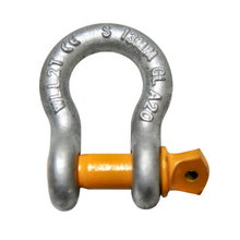 Load image into Gallery viewer, Rated Bow Shackle 2000kg 1/2&quot; 13mm for Trailer Safety Chain Yellow Pin