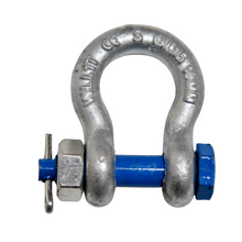 Load image into Gallery viewer, Rated Bolt Shackle 1000kg Grade S Bow type with Safety pin and nut blue pin safety factor 6:1 Rigging Lifting