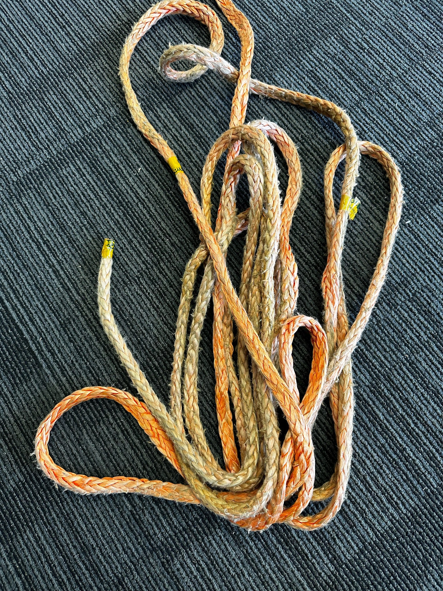 Aussie Rope Old Winch Rope Dog Leash, comes with Quick Release Snap Hook, Australi ...